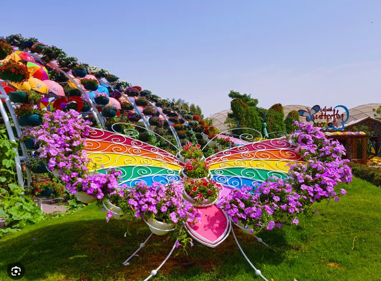 Dubai Butterfly Garden