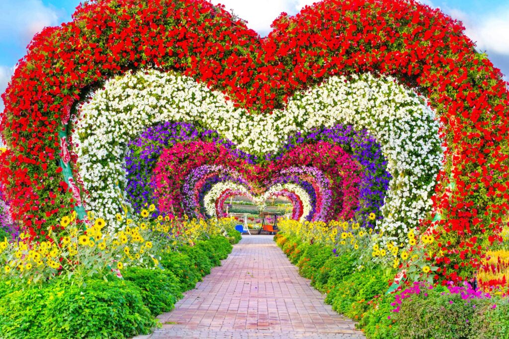 Dubai Miracle Garden
