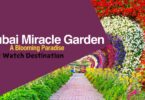 Dubai Miracle Garden