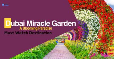 Dubai Miracle Garden